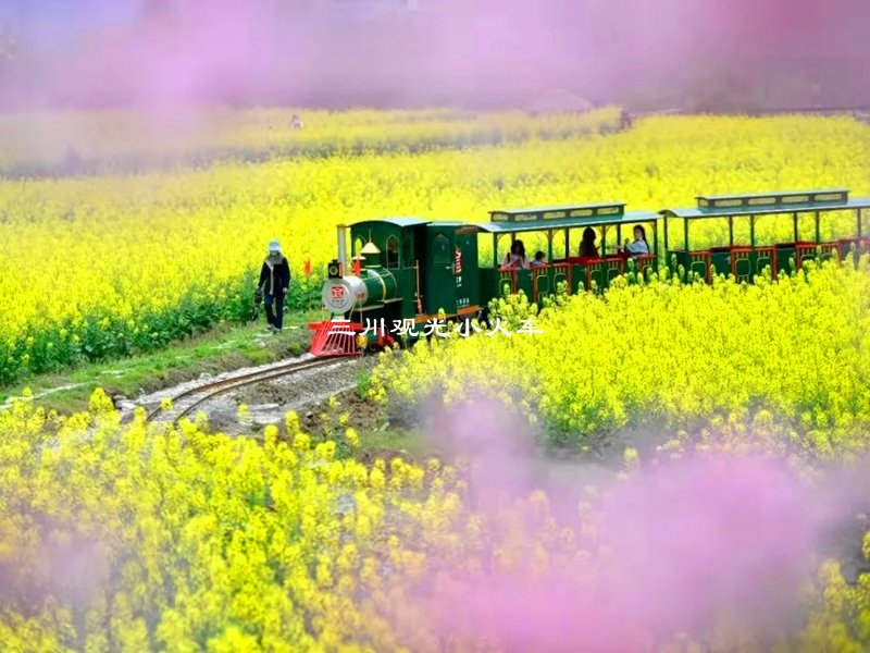 花海观光小火车：您不可错过的春季景点