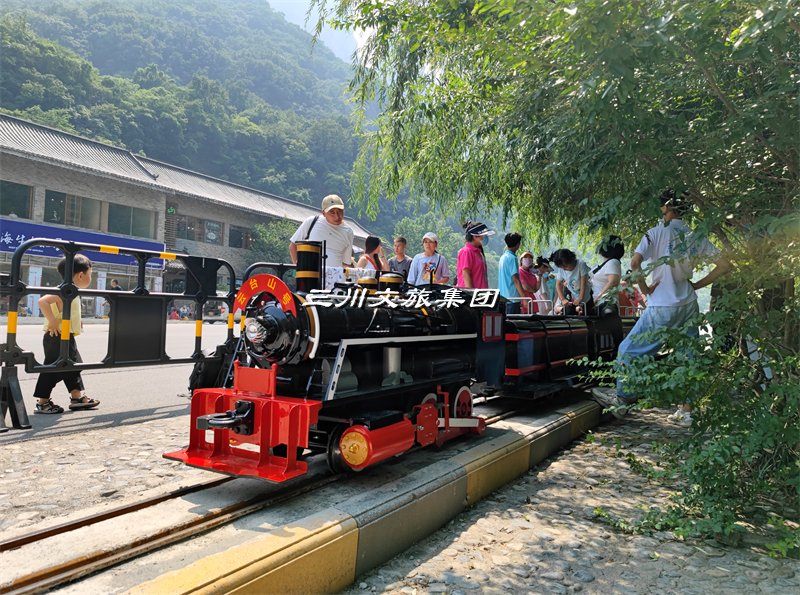 小火车,景区小火车厂家,农庄观光小火车项目