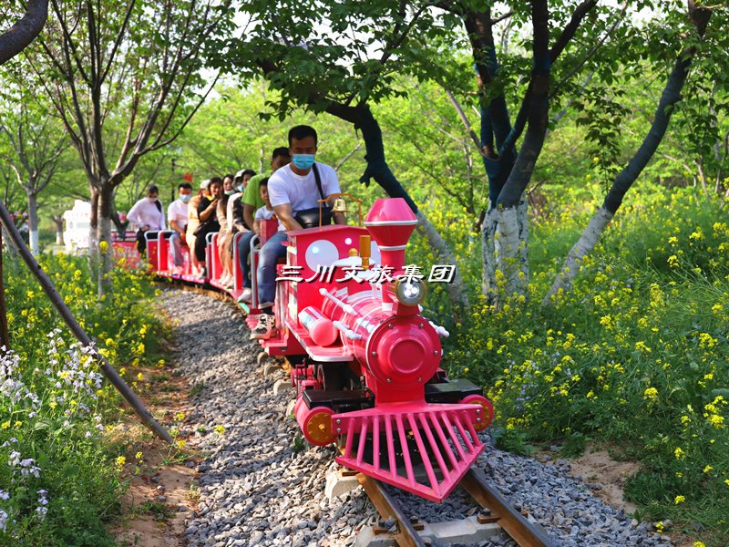 探秘农庄花海：穿越稻田，乘坐蒸汽小火车的唯美旅程