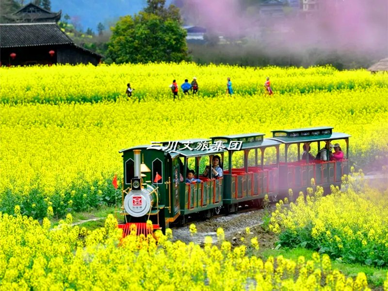 农业示范园观光小火车：乡村振兴的黄金利器