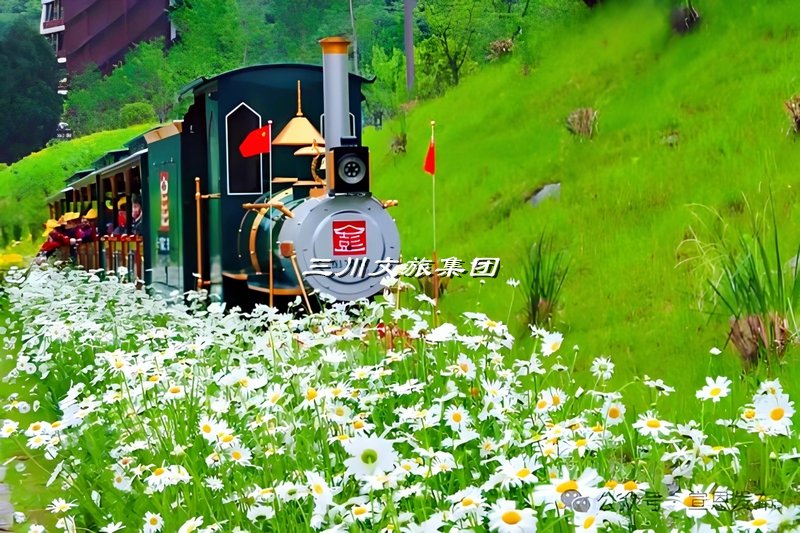 旅游观光小火车从业人员的职责与技能全解析